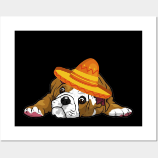 Cute dog bulldog mexico cinco de mayo Posters and Art